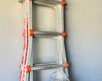 Titan Little Giant ladder