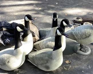 Several lots of duck & geese decoys