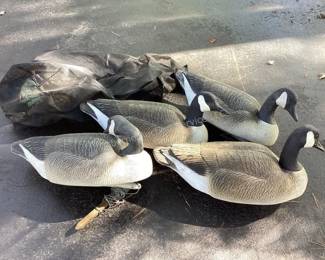Several lots of duck & geese decoys