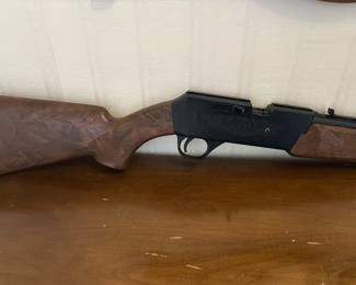 Daisy BB gun