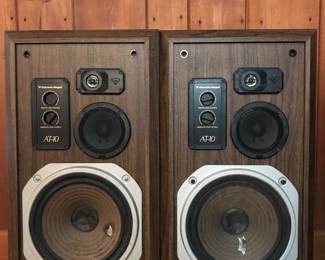 Cerwind-Vegal AT10 speakers