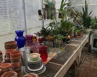 Greenhouse clay pots, vases, plants