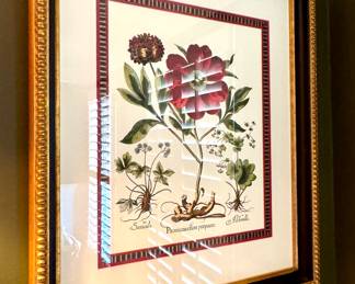 $150- Vintage “Paeonia mas Flore Purpureo” repro of Basilius Beasley framed print- 27.5x34x3