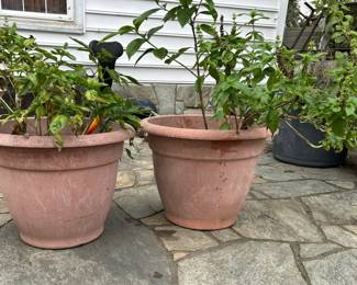 2 Large Round Outdoor Planters
