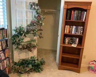 Bookshelf, audiobooks, and DVDs. Lots of faux foliage.