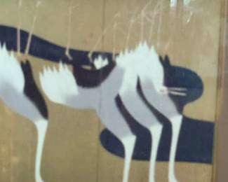 horse picture