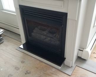 Fireplace insert; mantel