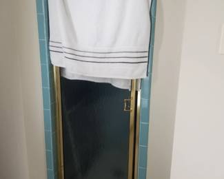 Glass shower door