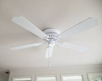 Ceiling fan