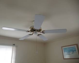 Ceiling fan
