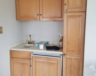 Wet bar with fridge
