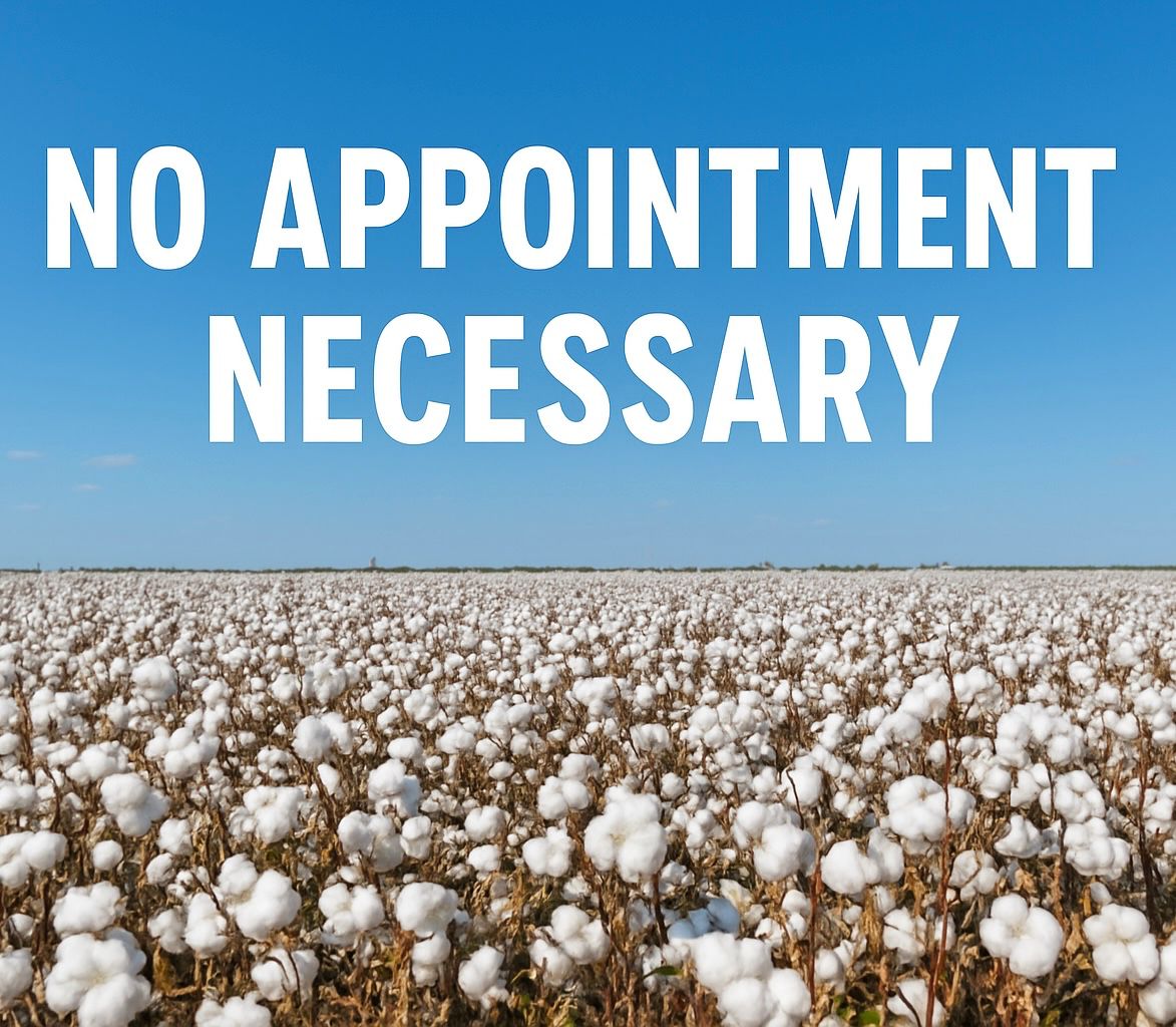 Cotton Field and Bold Message