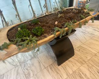 Stand with wood trough with succulents