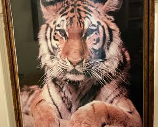 Was told this was of Mike the Tiger