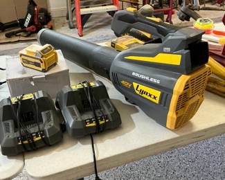 Blower charger battery