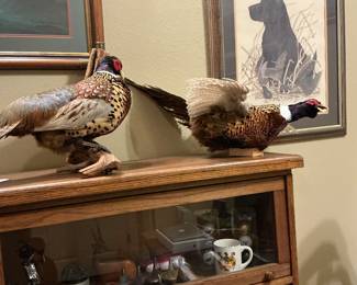 Pheasants barrister case