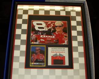 Dale Earnhardt Jr Picture