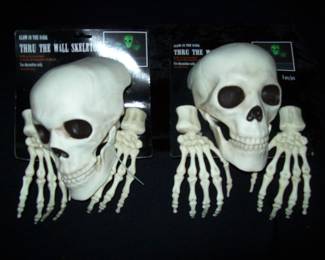 Glow in the Dark Skeleton