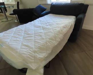 Twin size sleeper sofa/loveseat.