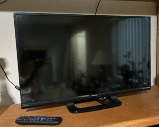 Flat-screen television