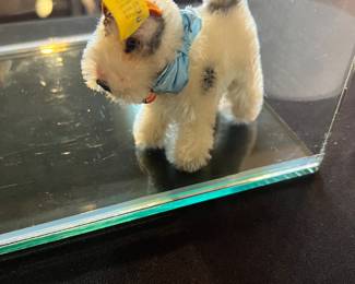 Steiff wore fox terrier