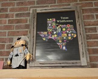 Texas Wildflower Picture