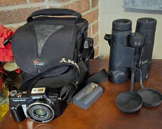 Sony Camara- Binnaculors