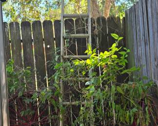 Extension Ladder
