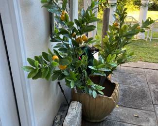 planters, fake trees