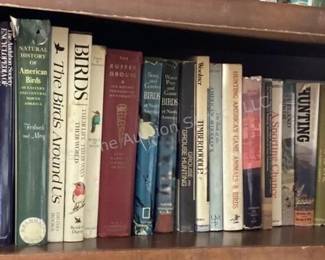 Several shelves of books