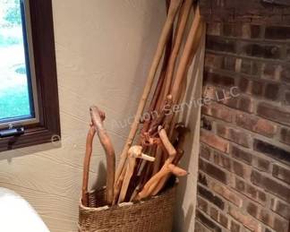 Walking stick collection