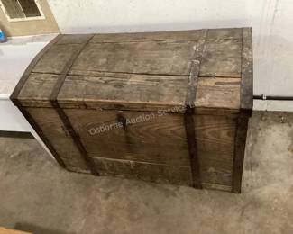 Several trunks