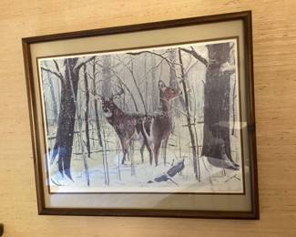 Wildlife pictures & prints