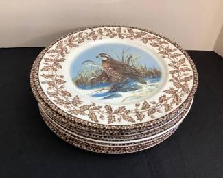 National Wildlife Federation dishes