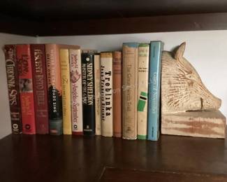 Several shelves of books