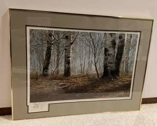 Several signed & number wildlife pictures