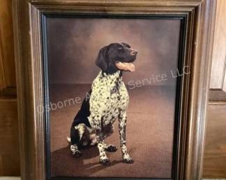 Dog portrait