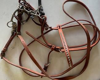 Complete bridle