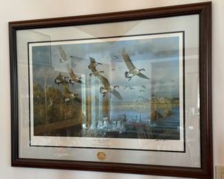 SUNSET REFUGE BY MICHAEL SIEVE