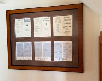 FIRST NATIONAL BANK OF BLUE EARTH MINNESOTA