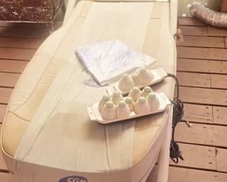 Massage table w/ 2 devices $50-at 1pm