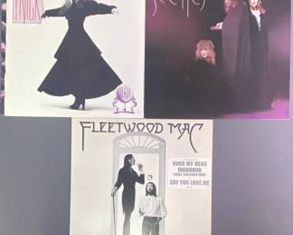 Vinyl Records Fleetwood Mac & Stevie Nicks