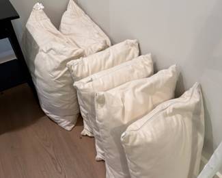 All Organic Fill Pillows