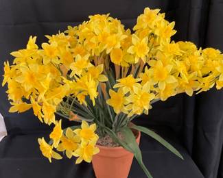 B133. Artificial daffodils $5