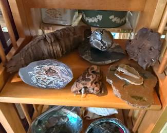 Geodes, petrified wood and shells