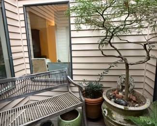Large Teak Garden Bench, Garden planter pots, Large potted tree