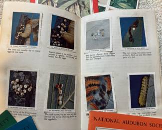 National Audubon Society Nature Programs