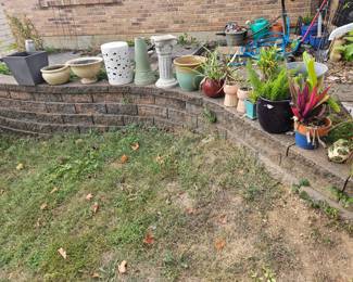 Plants