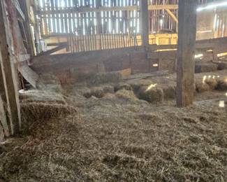 more hay!