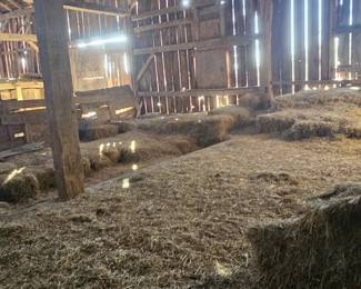 Hay.  Good for bedding. 